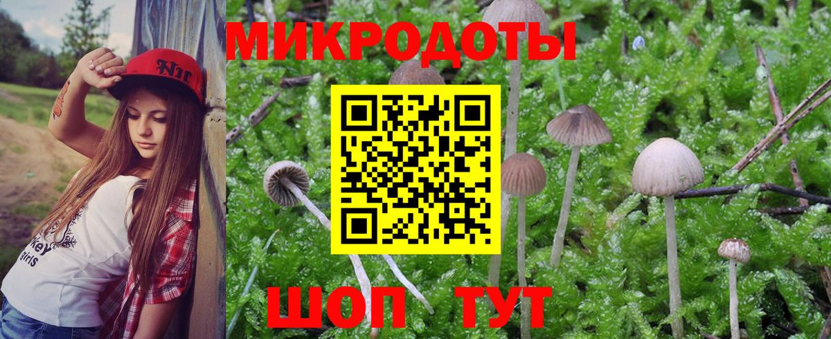 Приморско-Ахтарск  Псилоцибиновые грибы Psilocybe  Вход с VPN 