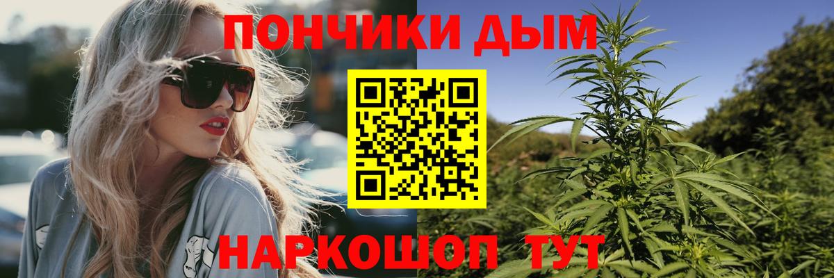 Каннабис планчик Приморско-Ахтарск